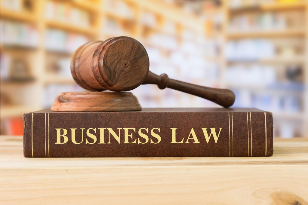 FIN1101 Business Law